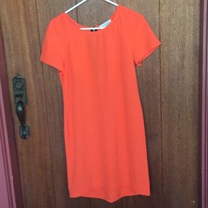 Cute Summer Dress with Zip Detail in Back